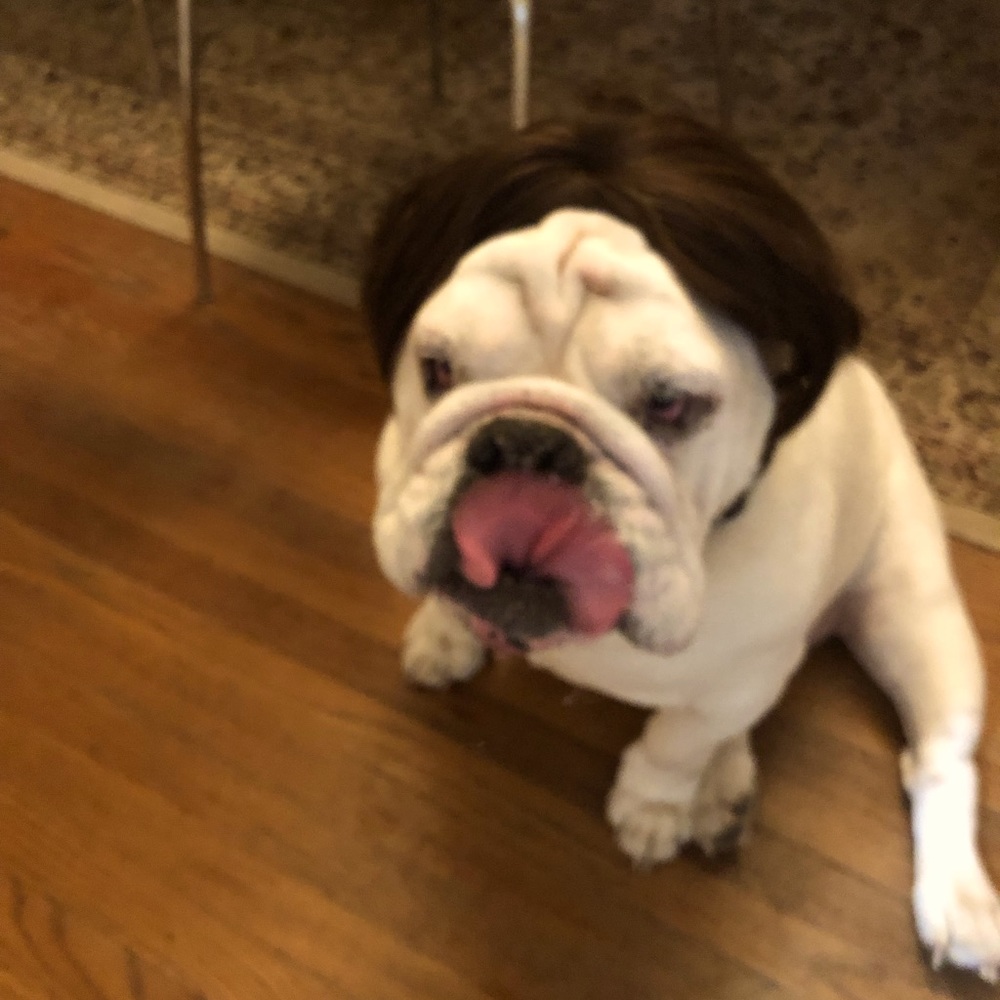 Meet your Posher, Henny